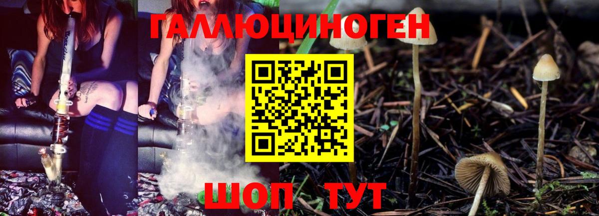 Галлюциногенные грибы GOLDEN TEACHER Полысаево