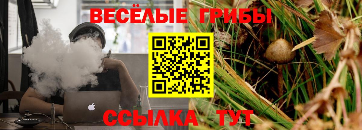 Полысаево  хочу   Вход с VPN  Псилоцибиновые грибы Magic Shrooms 